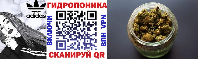 Купить где  Рязань  Бошки Шишки сатива 